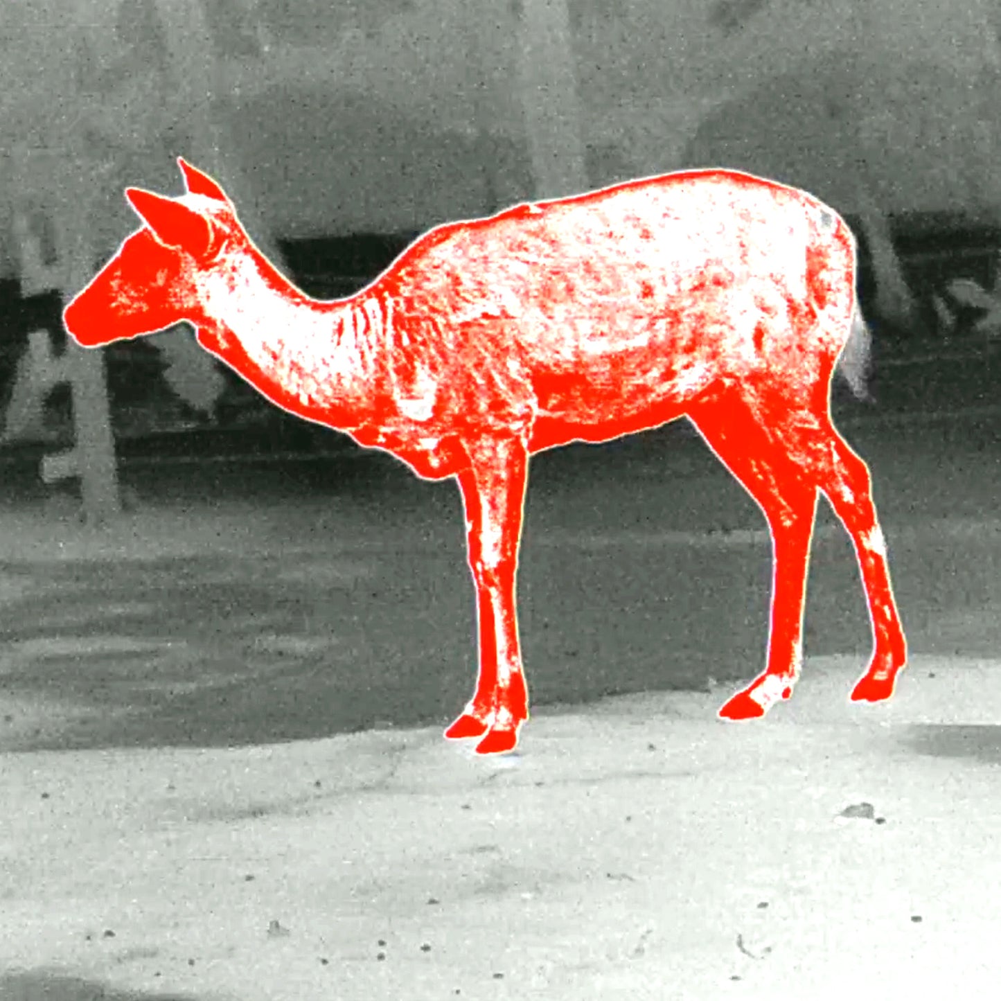 Leopard 480 Wärmebild-Monokular 25mm