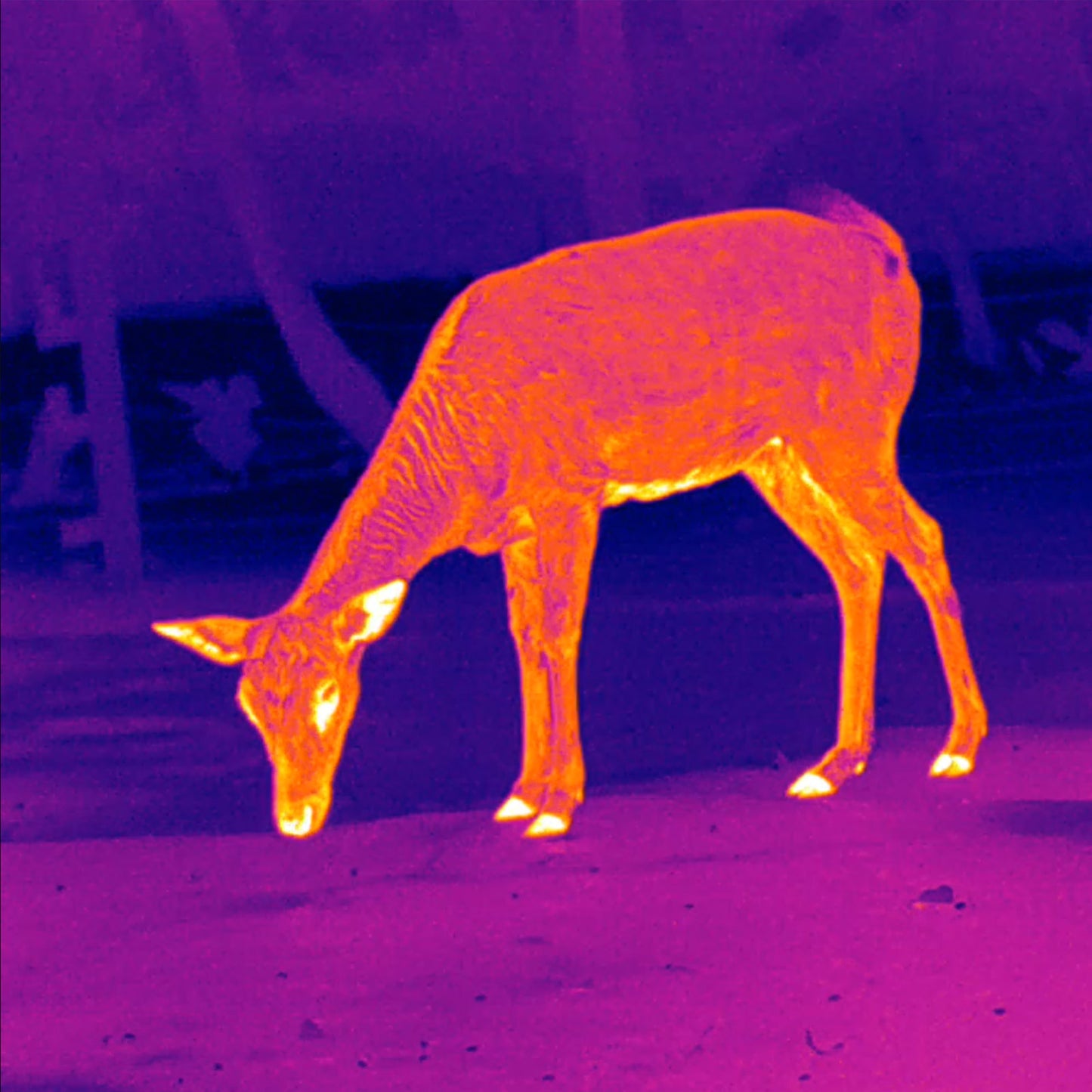 Leopard 480 Wärmebild-Monokular 25mm